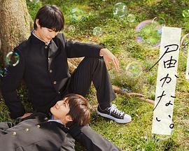 哈尔滨seo优化自然搜索排名